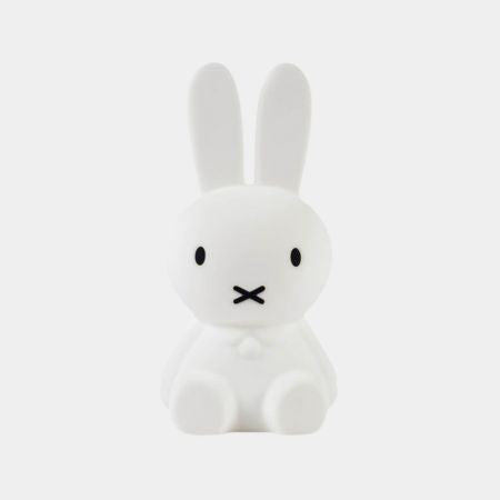 Lučke in projektorji