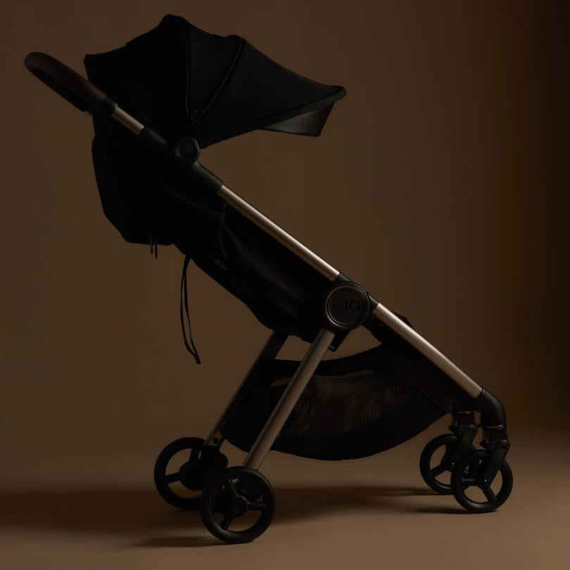 Anex® Otroški voziček 6v1 IQ (0-22kg) Richi Anex