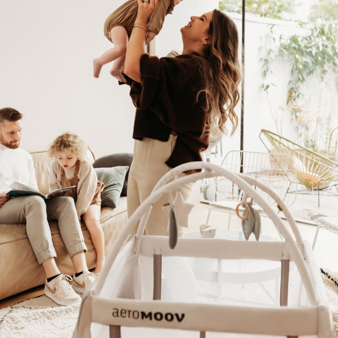 AeroMoov® Lok za igrače Grey Rock AeroMoov