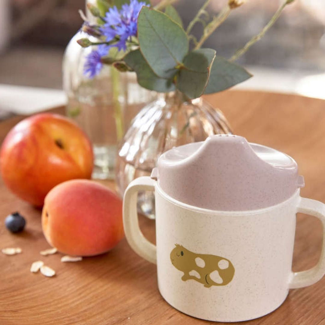 Lässig® Lonček Little Mateys Spicy Orange Lässig