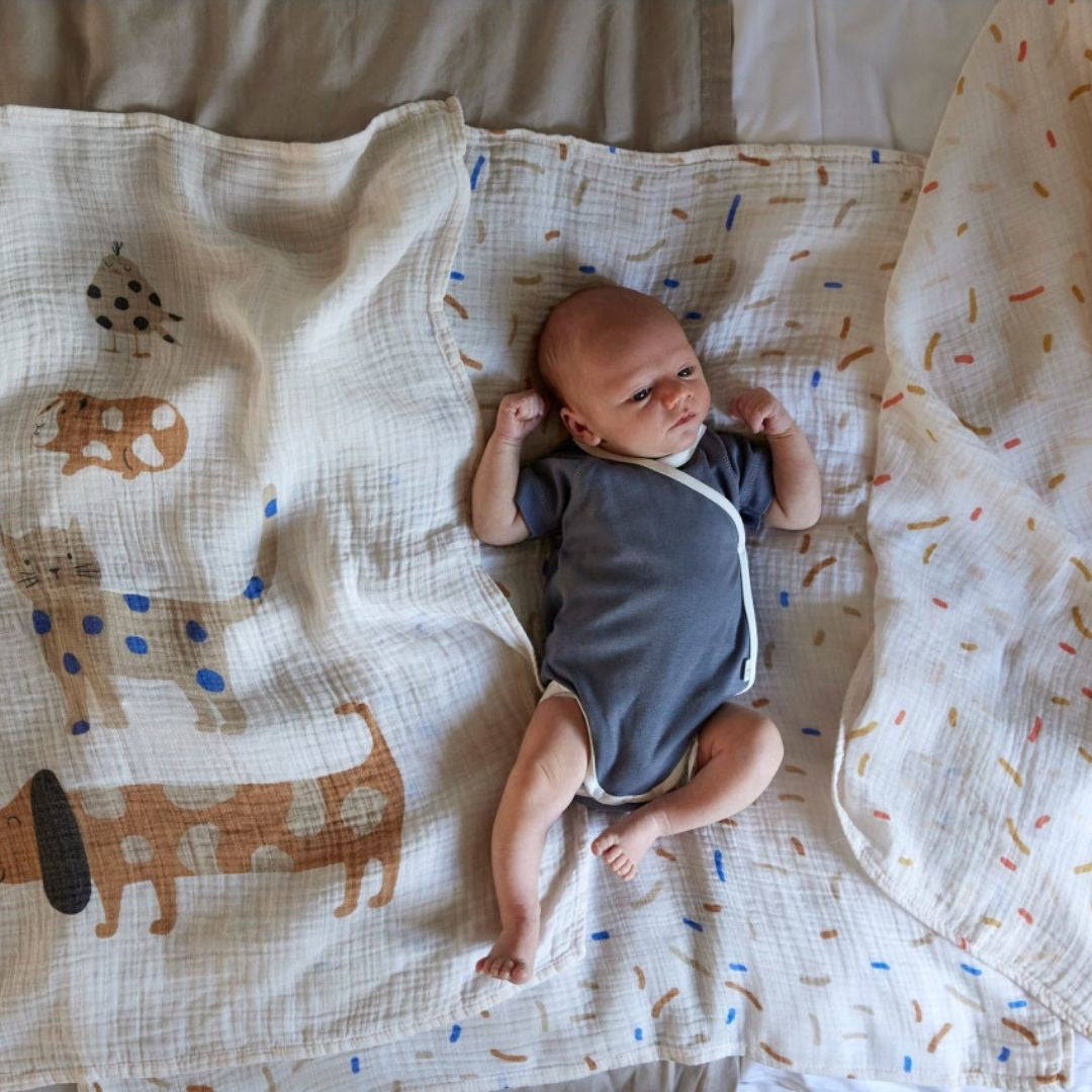 Lässig® Tetra pleničke 3 kosi 80x80 Little Mateys Royal Blue Lässig