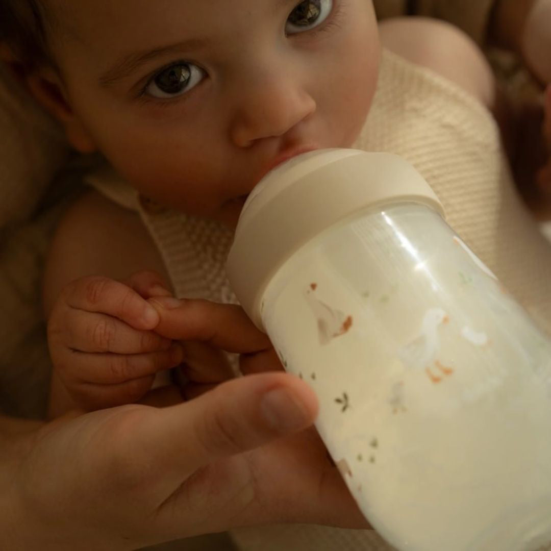 Little Dutch® Steklenička s cucljem 240ml Little Goose Little Dutch