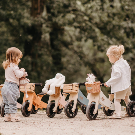 Slika za Kinderfeets® 2u1 Tricikl i bicikl bez pedala Tiny Tot Plus Silver Sage