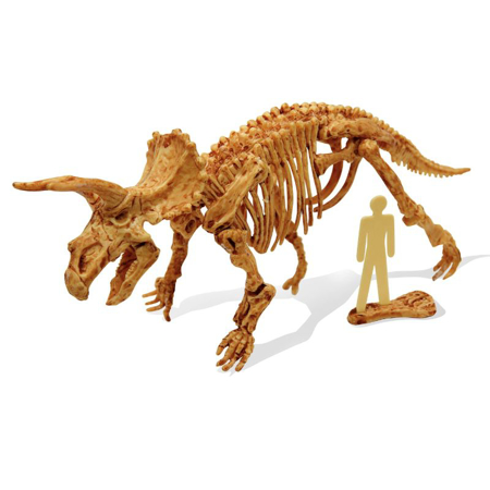 Buki® Set za izkopavanje okostja Dino Kit Triceratops