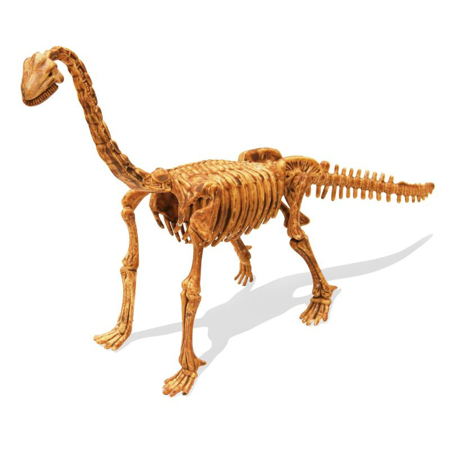 Buki® Set za izkopavanje okostja Dino Kit Brachiosaurus