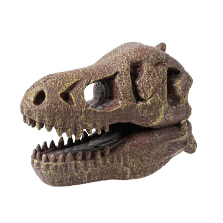 Buki® Set za izkopavanje lobanje Dino Museum Tyrannosaurus