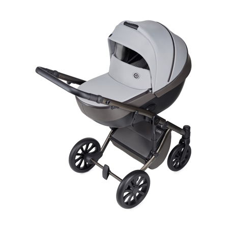 Anex® Otroški voziček s košaro in nahrbtnikom 2v1 M/Type (0-22kg) Mirage
