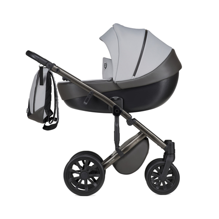 Slika Anex® Otroški voziček s košaro in nahrbtnikom 2v1 M/Type (0-22kg) Mirage