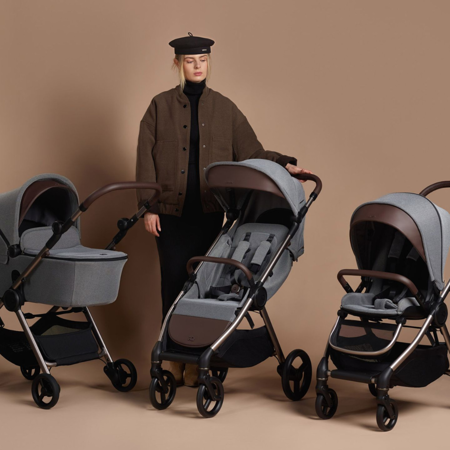 Picture of Anex® Stroller 6in1 IQ Basic (0-22kg) Sienna