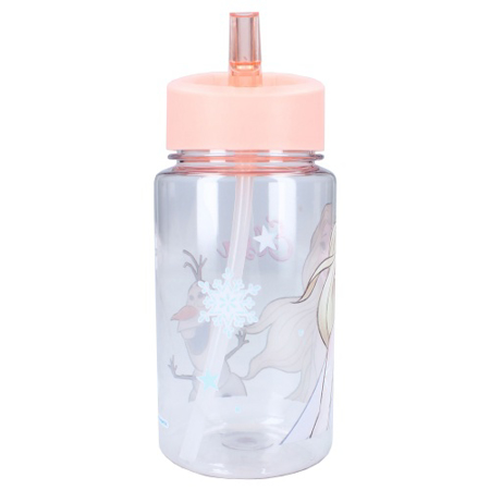 Disney's Fashion® Steklenička 450ml Frozen II Let's Eat