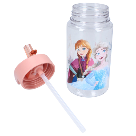 Picture of Disney's Fashion® Drinking bottle 450ml Frozen II Drink Up