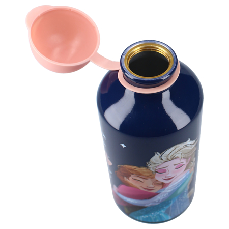 Slika za Disney's Fashion® Bočica 500ml Frozen II Really Refreshing