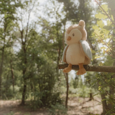 Picture of Little Dutch® Cuddle Owl Forest Friends