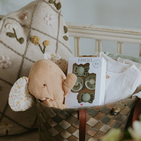 Picture of Frigg® Try-It Collection Pacifier 4-pack Sage