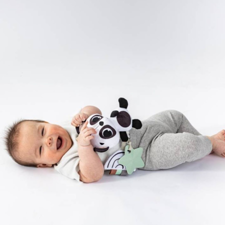 Immagine di Tiny Love® Giocattolo Panda