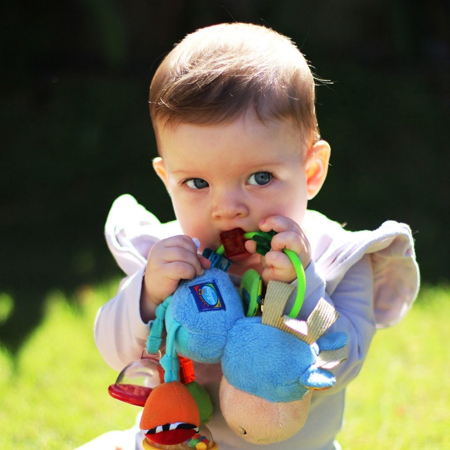 Playgro®  Aktivna Ropotuljica