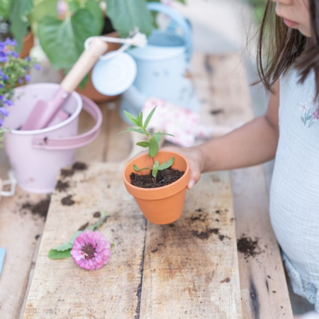 Picture of Little Dutch® Bucket Fairy Garden