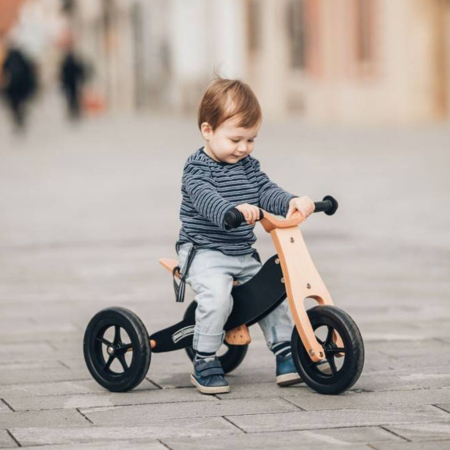 Free2Move® Lesen trikolesnik in poganjalec Rider PLUS 2v1 Black
