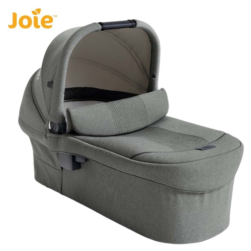 Joie® Košara za novorojenčka Ramble™ XL Signature EverGreen