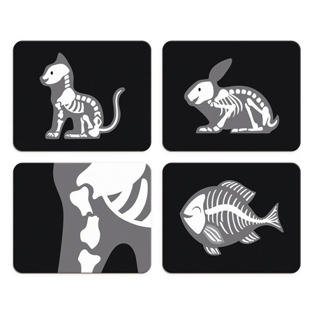 Janod® Lesen set za veterinarja